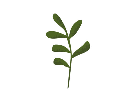 Download Leaves Decorative Elements Illustration - Premium Bundle